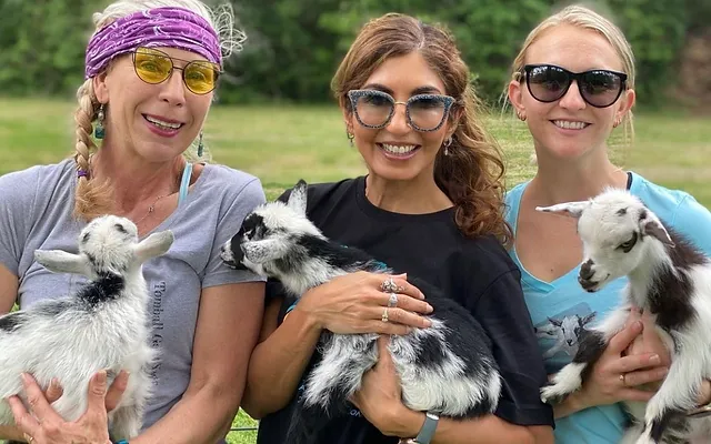 Public Goat Yoga Class