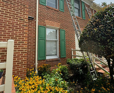 Exterior Shutter Painting