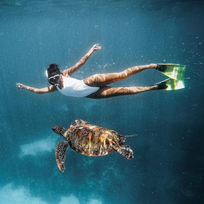 swim and snorkel with turtles in bali and komodo