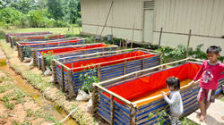 Farming