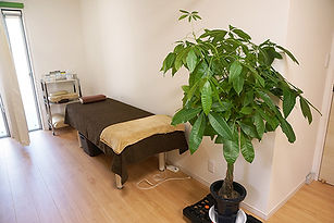 img15.jpg