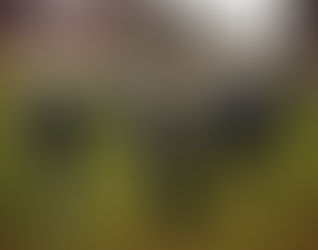 Dervish: do noroeste da Irlanda para o Mundo