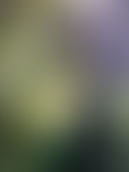 Crônicas de Session: A braveza dela não tirou minha alegria