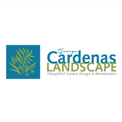 George Cardenas Landscape — Brand Identity