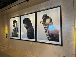 Western Australian Museum