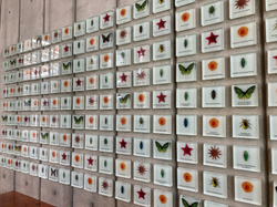 Invertebrates hall, California Academy of Science