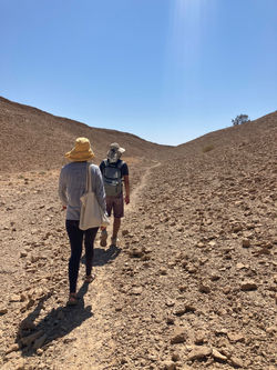 Collecting Reptiles, Arava Valley, Mor and Simon