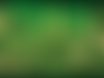 CBD Oil Demystified: Your Essential Primer