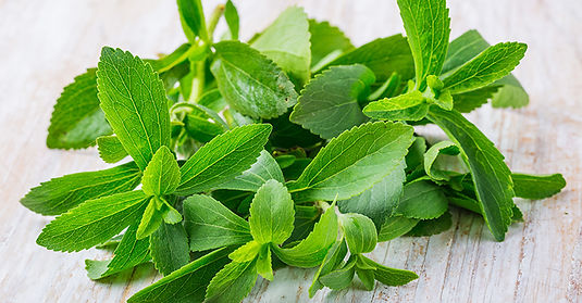 PureCircle-now-working-with-new-stevia-l