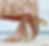Kara Mac Shoes-  Women's Gold Leather Sandals, Flared Convertible Heels, Sustainable with Matching Heel Cover and Horsebit