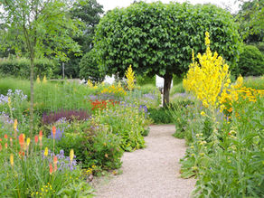 Gravel path through a lush flower garden with colorful blooms and a clipped, heart-shaped tree canopy.