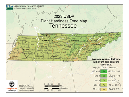 USDA Hardiness Zones Across the U.S. - Spotlight on Tennessee!