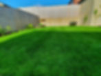 late spring lawn