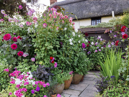 Colourful cottage garden packed with pink, purple, and white flowers beside a thatched-roof house and stone path.