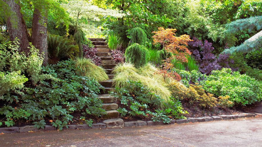 A beautifully landscaped garden on a slope, featuring layered plants, groundcovers, and stone pathways that enhance the natural contours of the hillside.