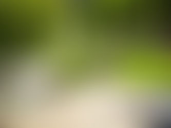 Why Hire a Professional Gardener in Bishops Cleeve, Cheltenham? Key Benefits Explained by Marcus Bergin Gardening