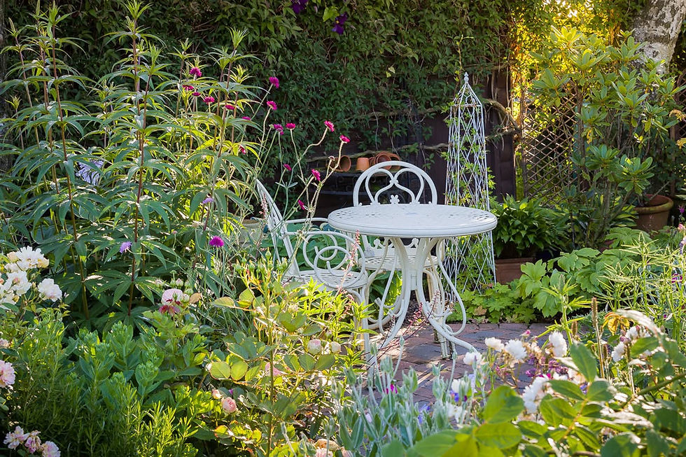 Sunny garden patio with a white metal table and chair surrounded by lush green plants and pink, white, and purple flowers.
