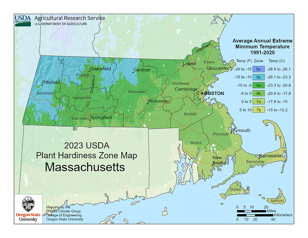 USDA Hardiness Zone map of Massachusetts highlighting Zones 5-7, showing the state's climate variation from the cooler western regions to the milder coastal areas.