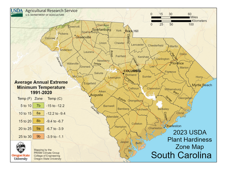 USDA Hardiness Zones Across the U.S. - Spotlight on South Carolina!