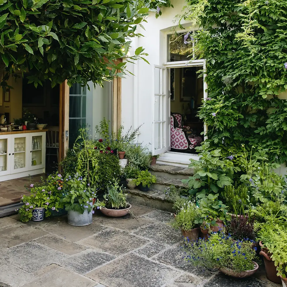 Lush container planting in a Bishops Cleeve garden designed by Marcus Bergin Gardening, showcasing large, overflowing planters with a variety of plants, adding a sense of abundance and depth to the compact garden space.