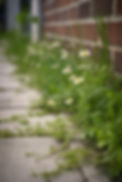 6828fea0f7462b8ad1f0ef948d34dbb2.jpg