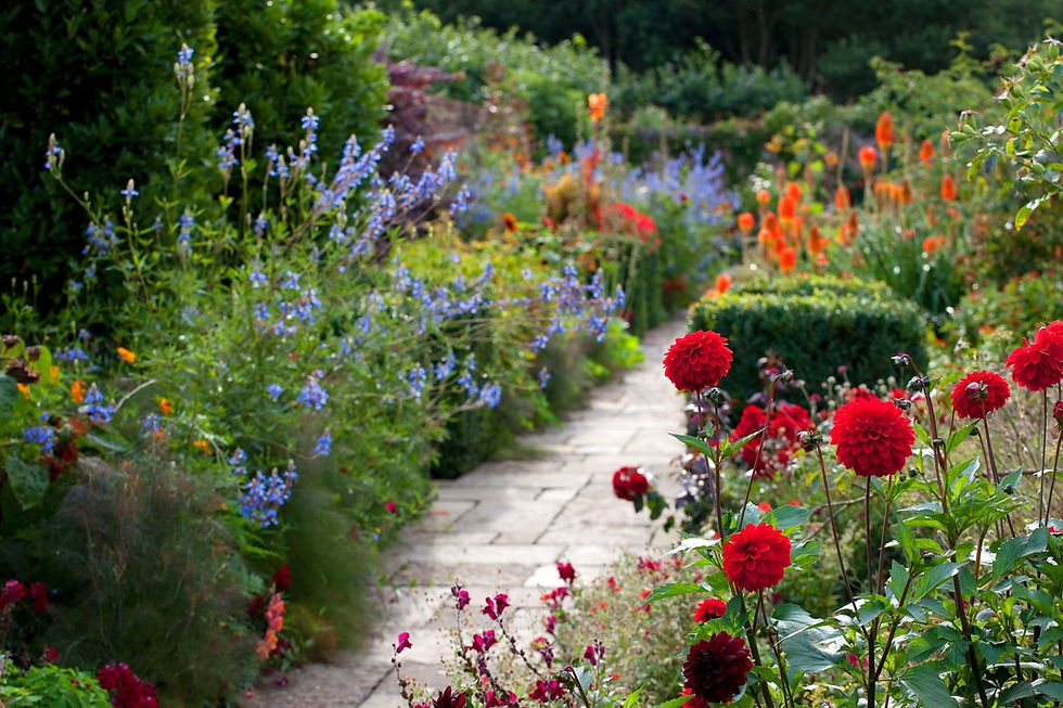 How Should I Prepare Before My Gardener Arrives?