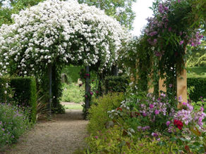 Garden path beneath a white flower arch, surrounded by pink blooms and lush greenery in a peaceful spring garden.