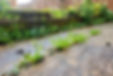 AdobeStock_387380323.jpeg