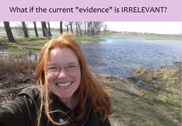 WHAT IF THE CURRENT "EVIDENCE" IS IRRELEVANT?