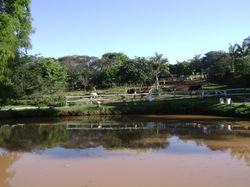 CAPACITAÇÃO 2009 146