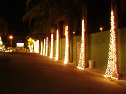 Ano Novo - Sítio IBNC - Francisco Dumont 024