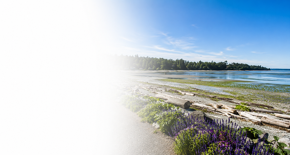 Coastal shoreline in Courtenay with driftwood and flowers.