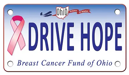 DriveHope Logo.webp