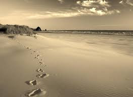 Life's a journey of coming back to find the Self.