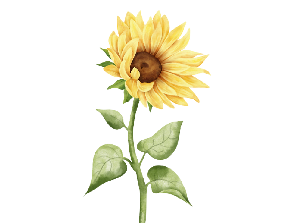 Design ohne Titel (4)_edited.png