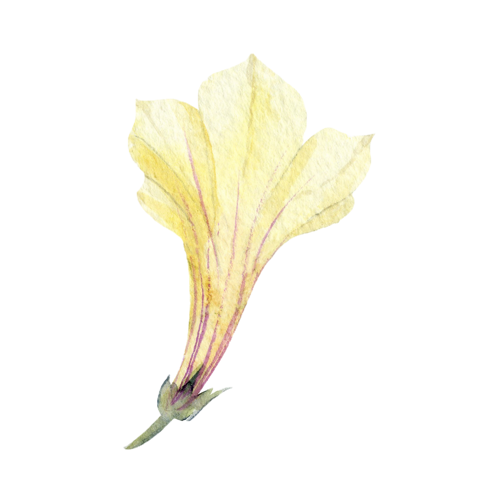 24_edited.png