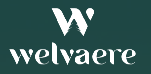 Capture d’écran 2025-03-03 081900.png