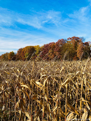 K | R DESIGN CREATE - PHOTOGRAPHY