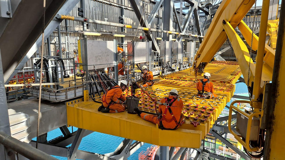 shared image (3).jpeg