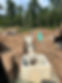 IMG_2479.jpeg