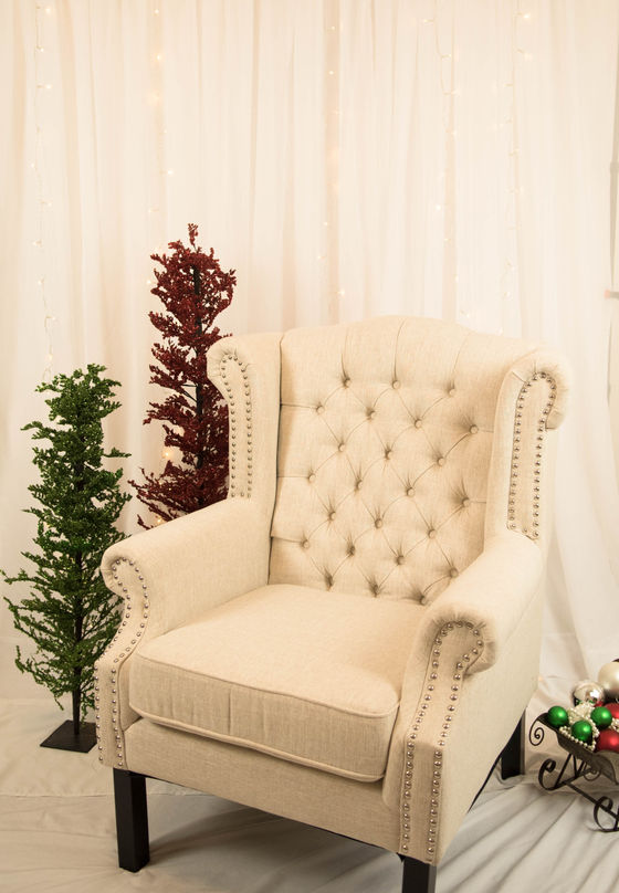 Christmas Mini Sessions