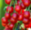 AdobeStock_276156138_Preview.jpeg