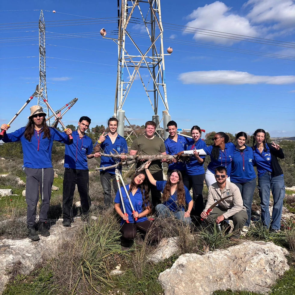 Gap year participants planting trees with KKL-JNF as part of Tu Bishvat celebrations across Israel