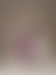 The Link Between Nutrition and Hair Health Supplements