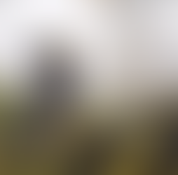 Dev Update #2 (WWS): Added AI, NPC animations, procedural foliage for select maps, optimization.