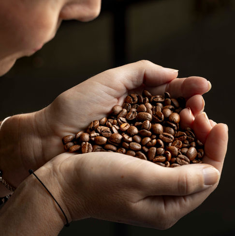 Emotionale Foodfotografie – Hände halten eine Handvoll dunkel gerösteter Kaffeebohnen zur sensorischen Prüfung – Kitchenkiss Studio