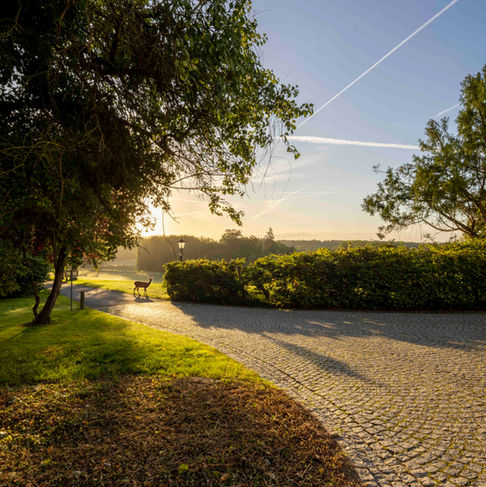 Lifestyle-Fotografie Mecklenburg-Vorpommern: Blick in den weitläufigen Schlosspark von Burg Schlitz.