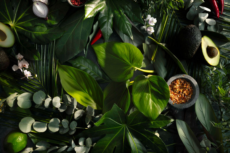 AF3A4264-Bearbeitet Kopie.jpg