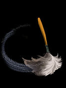 cracked feather duster graphic only copy.jpg