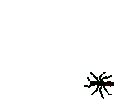 ant.gif